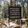 Avatar of player suicide forest