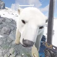 Avatar of player White Bear