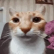 Avatar of player я сегодня нервный