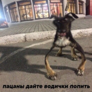 Avatar of player bitochek ypal