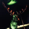 Avatar of player rensiwer