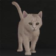 Avatar of player fiuuuuu