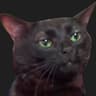 Avatar of player MEOW