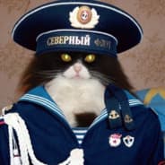 Avatar of player Torsted