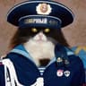 Avatar of player Torsted