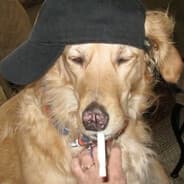 Avatar of player МАЙК ТАНОС