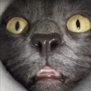 Avatar of player СИСЯН