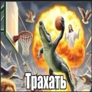Avatar of player двд папка