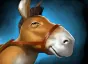 Item courier