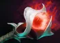 Item orchid