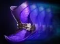 Item phase_boots