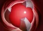 Item vitality_booster